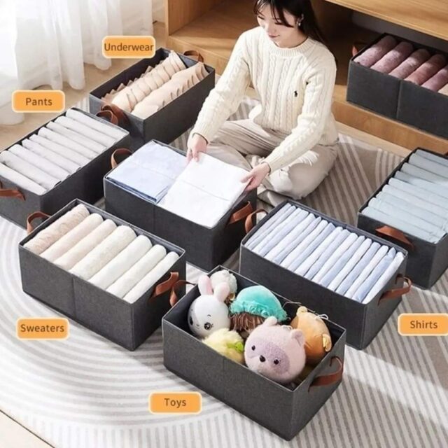 Collapsible Fabric Closet Organizer
